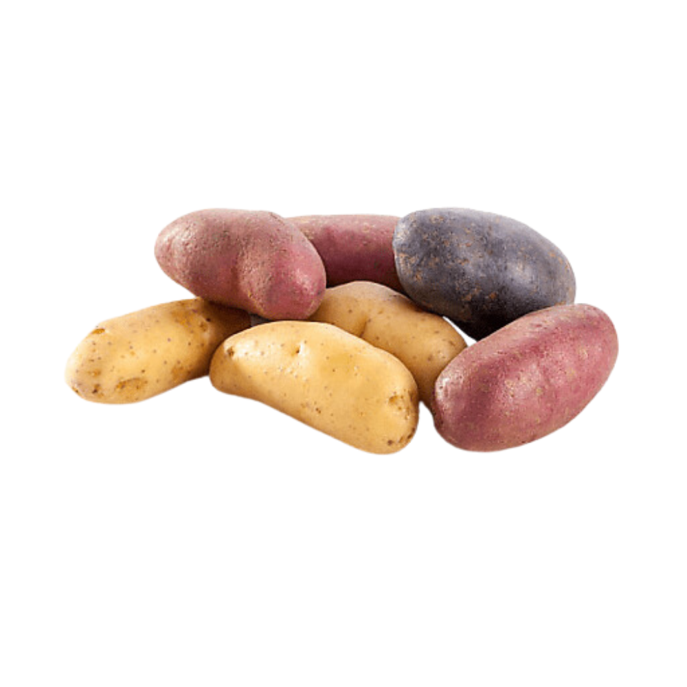 Rainbow Fingerling Potatoes