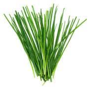 Chives