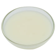 Miroir Neutral Glaze