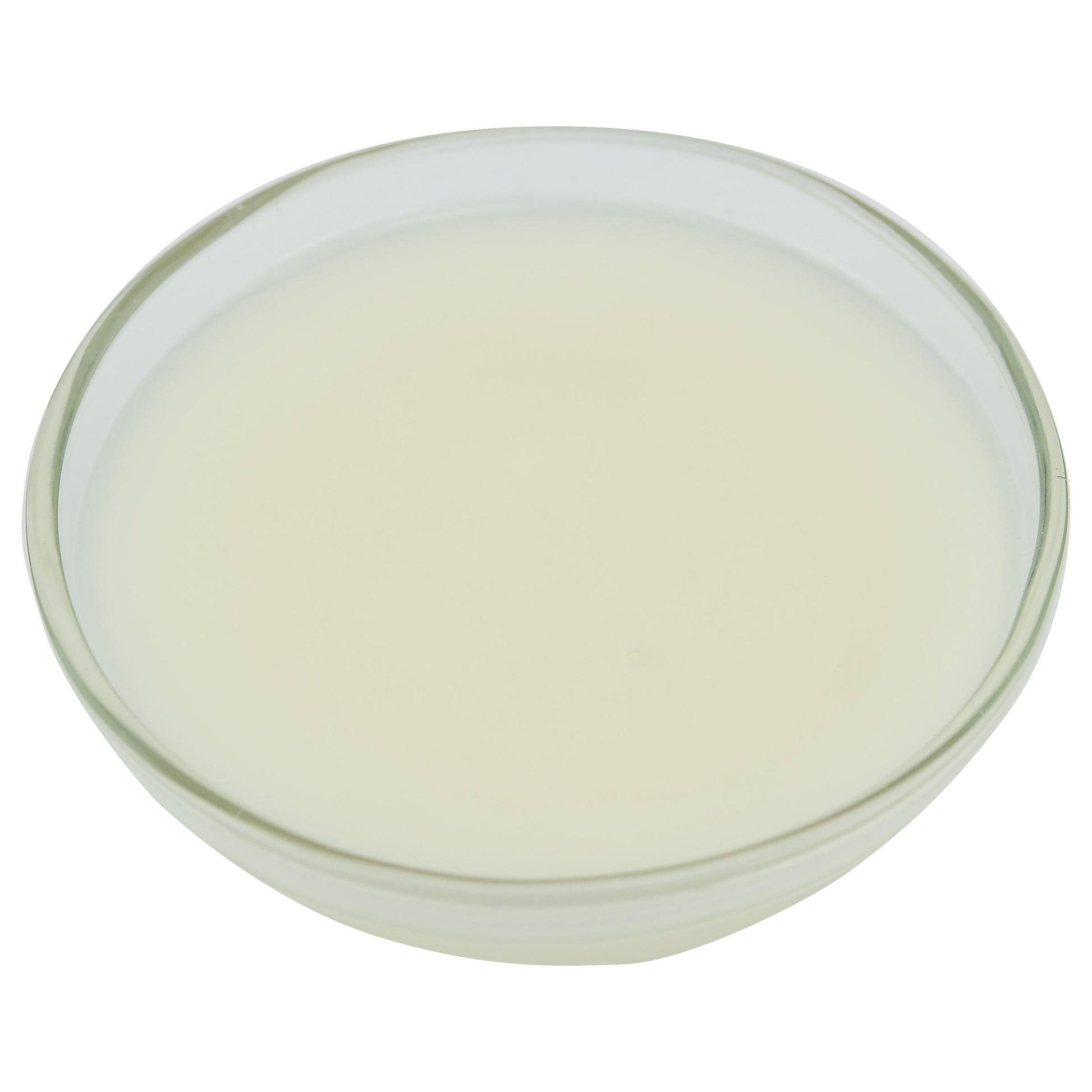 Miroir Neutral Glaze