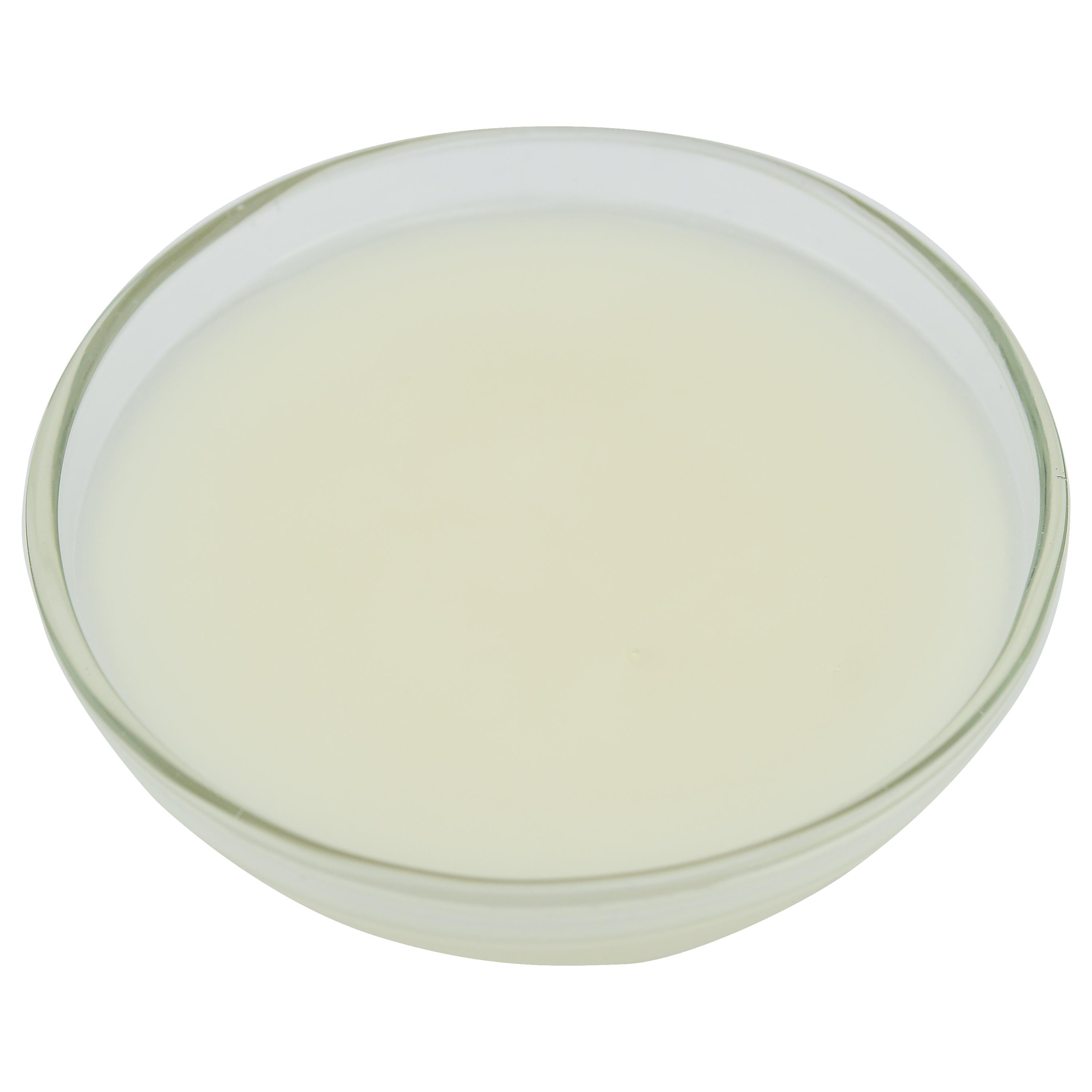Miroir Neutral Glaze