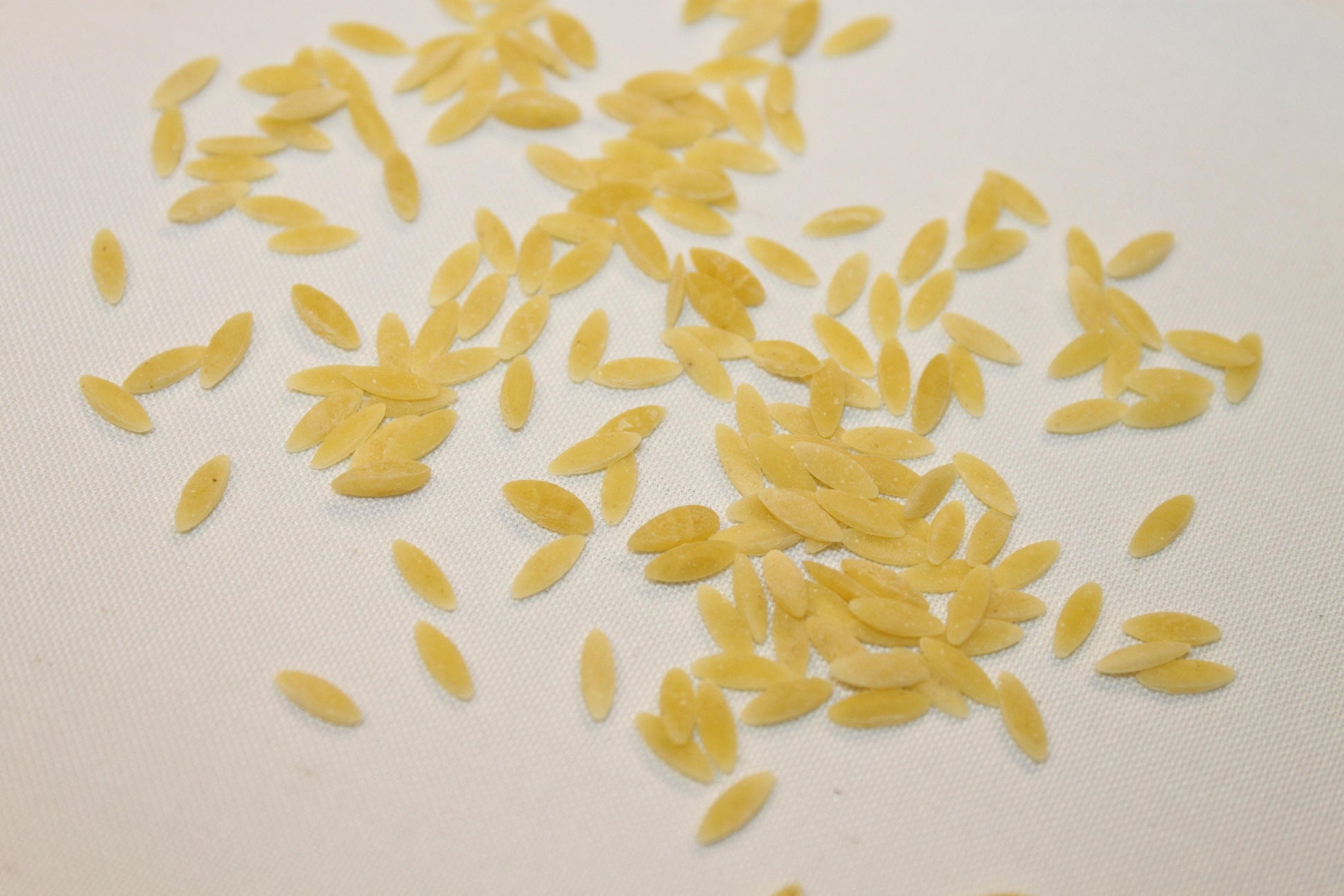 Orzo Pasta