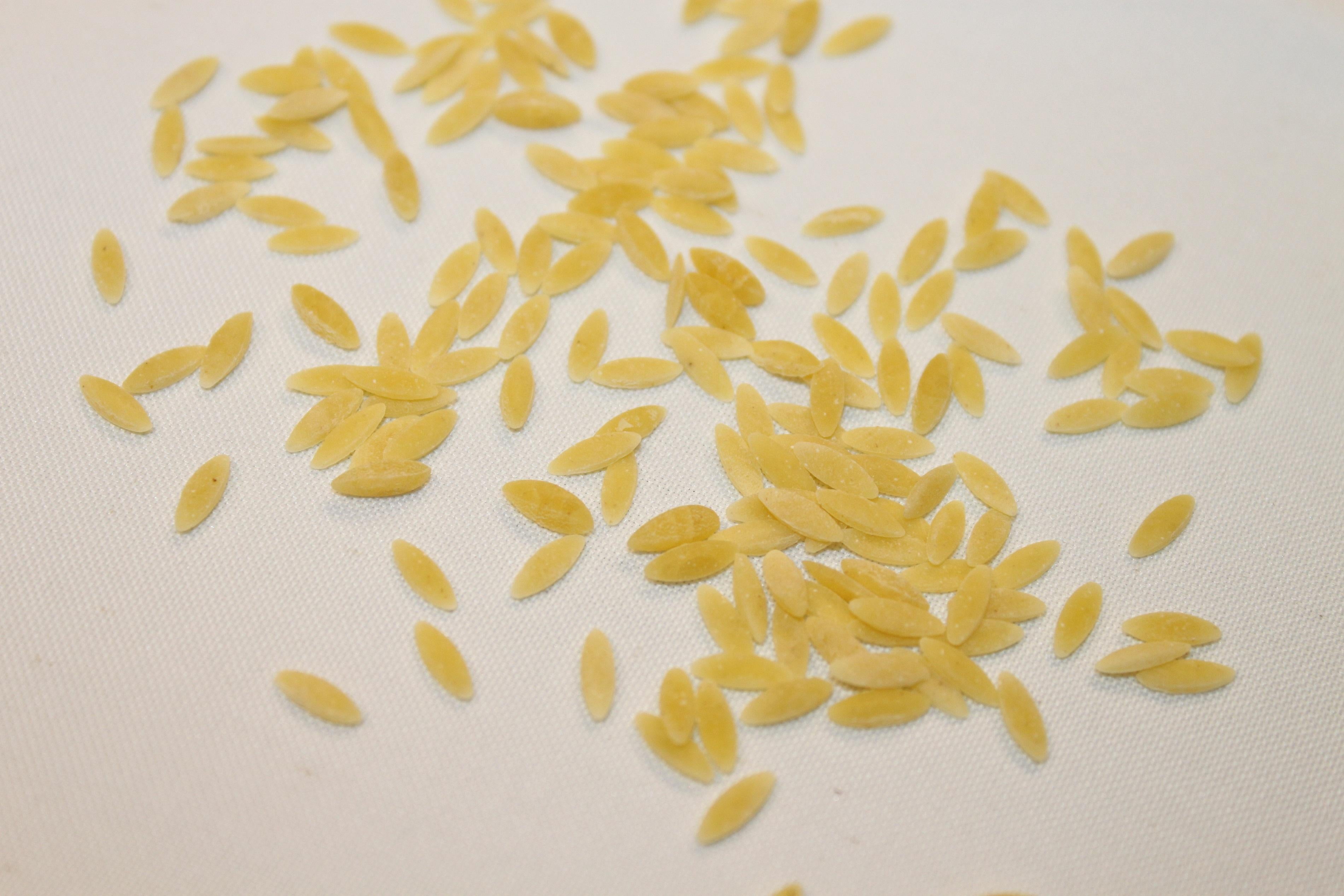 Orzo Pasta