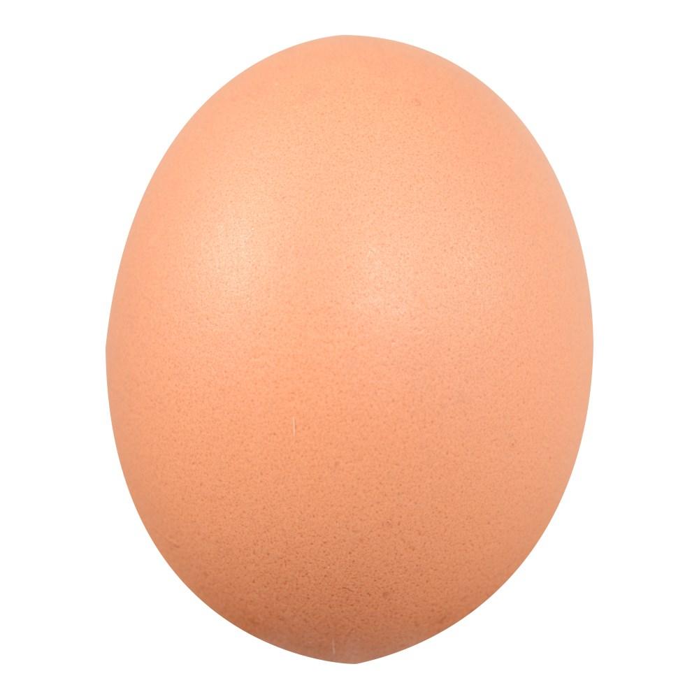 Organic Grade A Large Brown Eggs