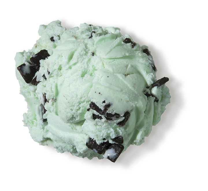 Mint Chocolate Chip Ice Cream