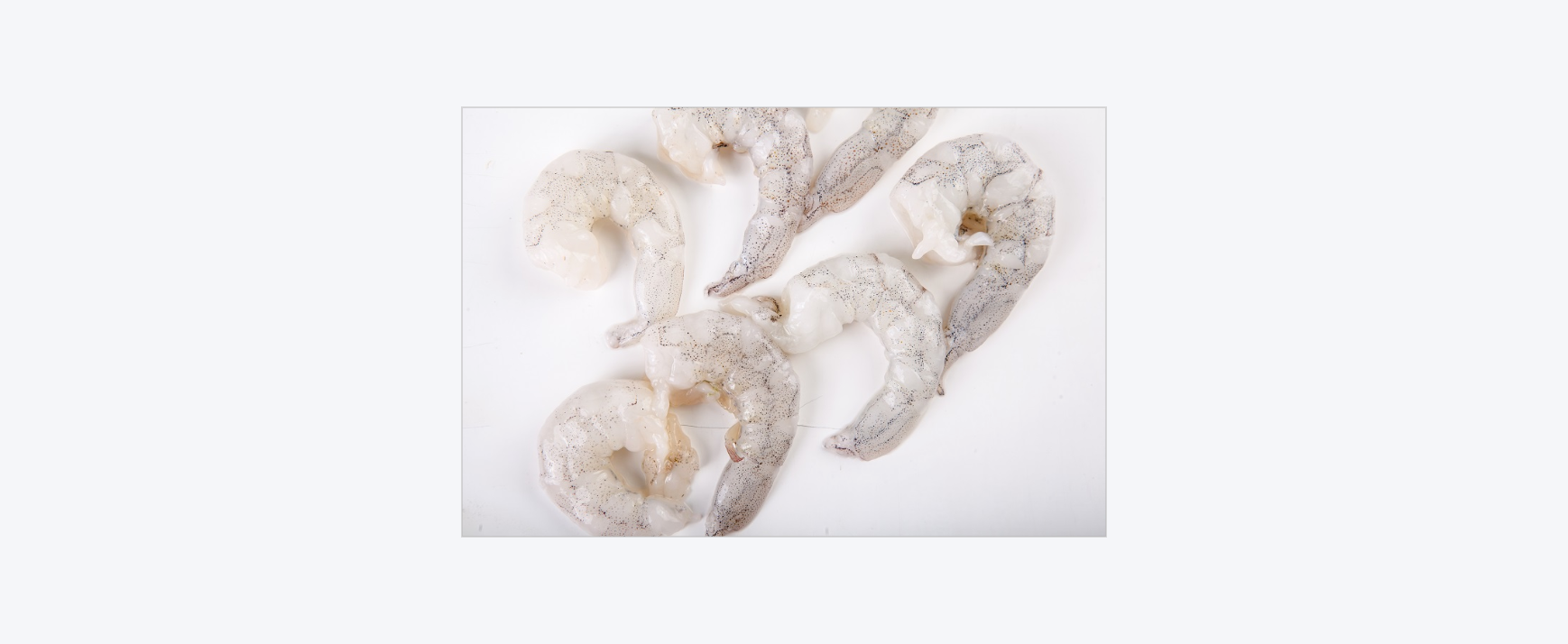 31-40 White Shrimp P&D T-Off