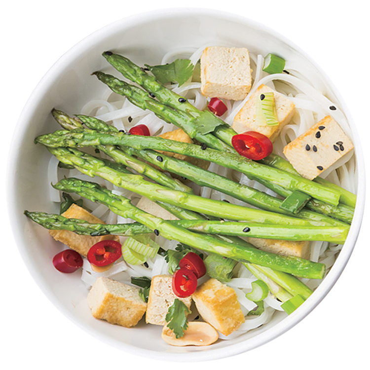 Firm Soybean Tofu