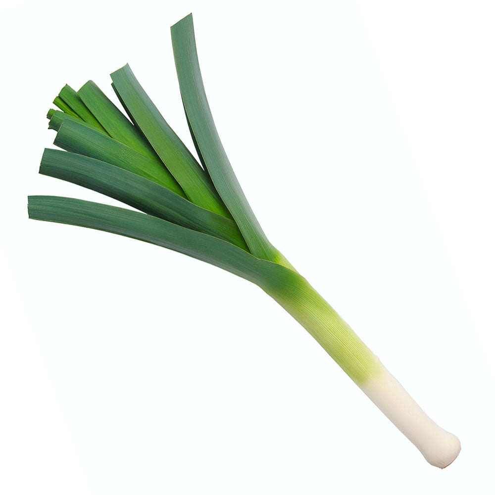 Holland Leeks