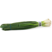 Iceless Scallions