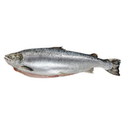 Whole Atlantic Salmon