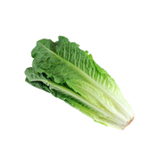 Loose Romaine Hearts 48ct