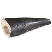 Chilean Seabass