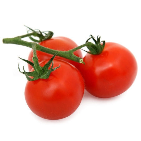 Tomato on the Vine