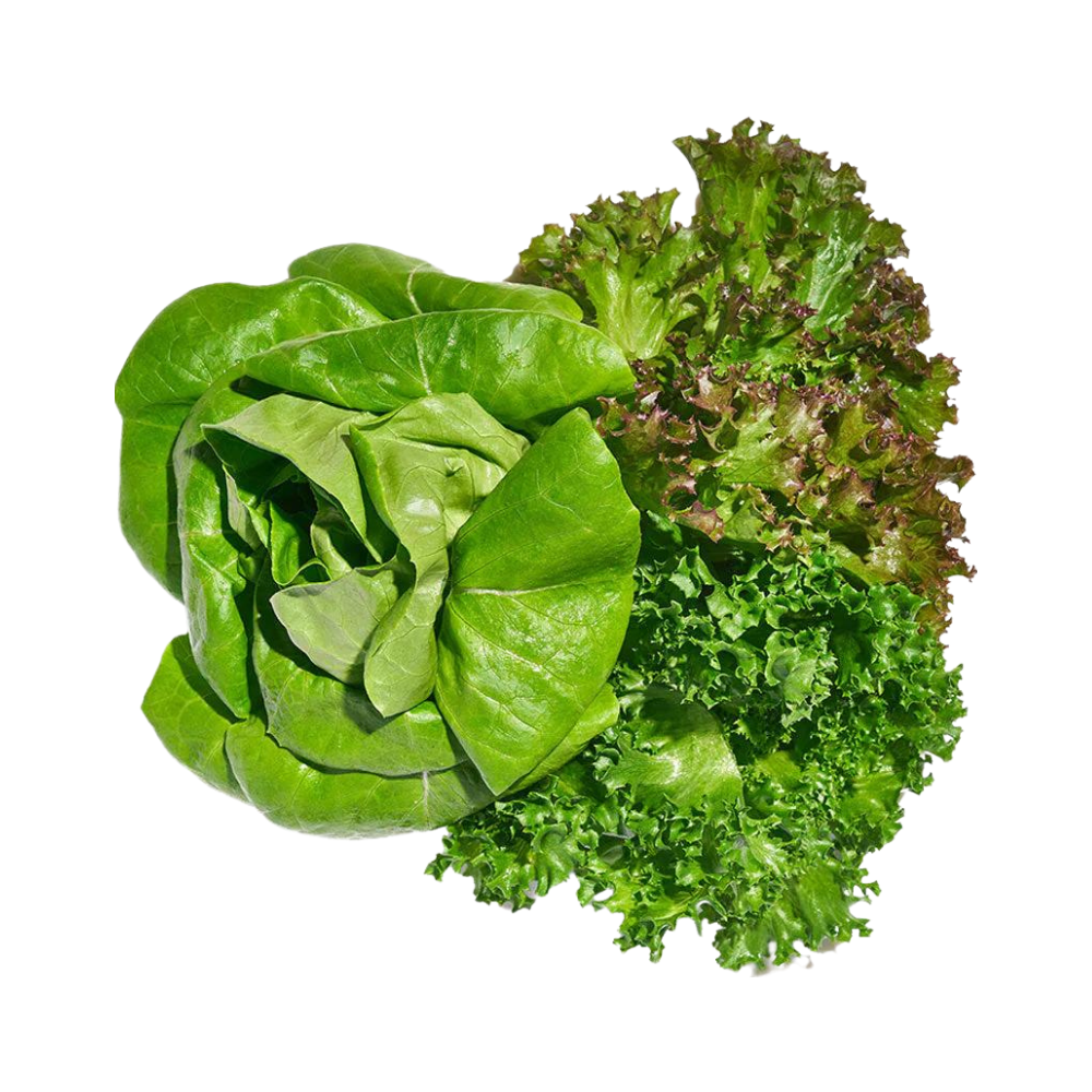 Loose Spring Mix