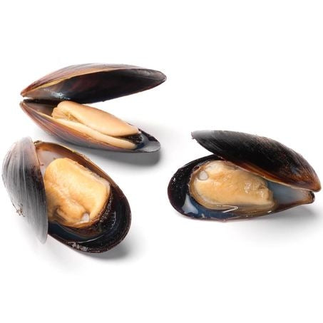 Regular Blue Mussels
