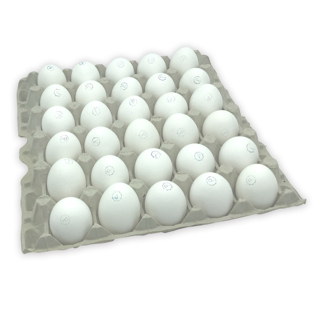 * Pasteurized Large Eggs