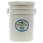 Kosher Dill Pickles