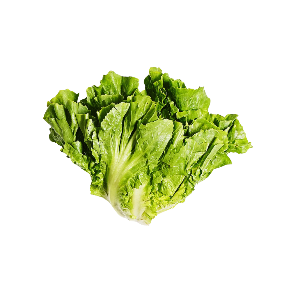 Escarole