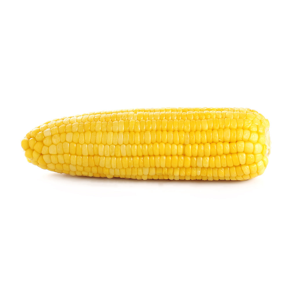 9 Inch Frozen Corn Cob