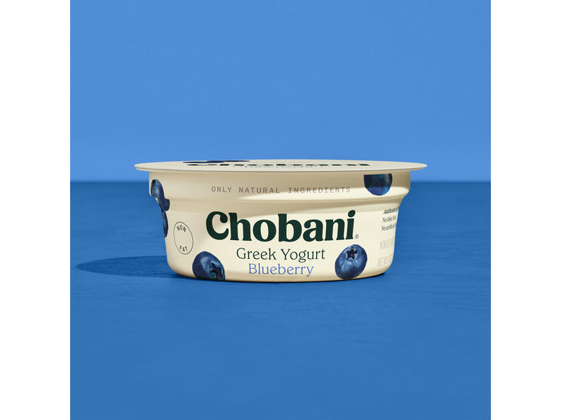 Blueberry Greek Yogurt