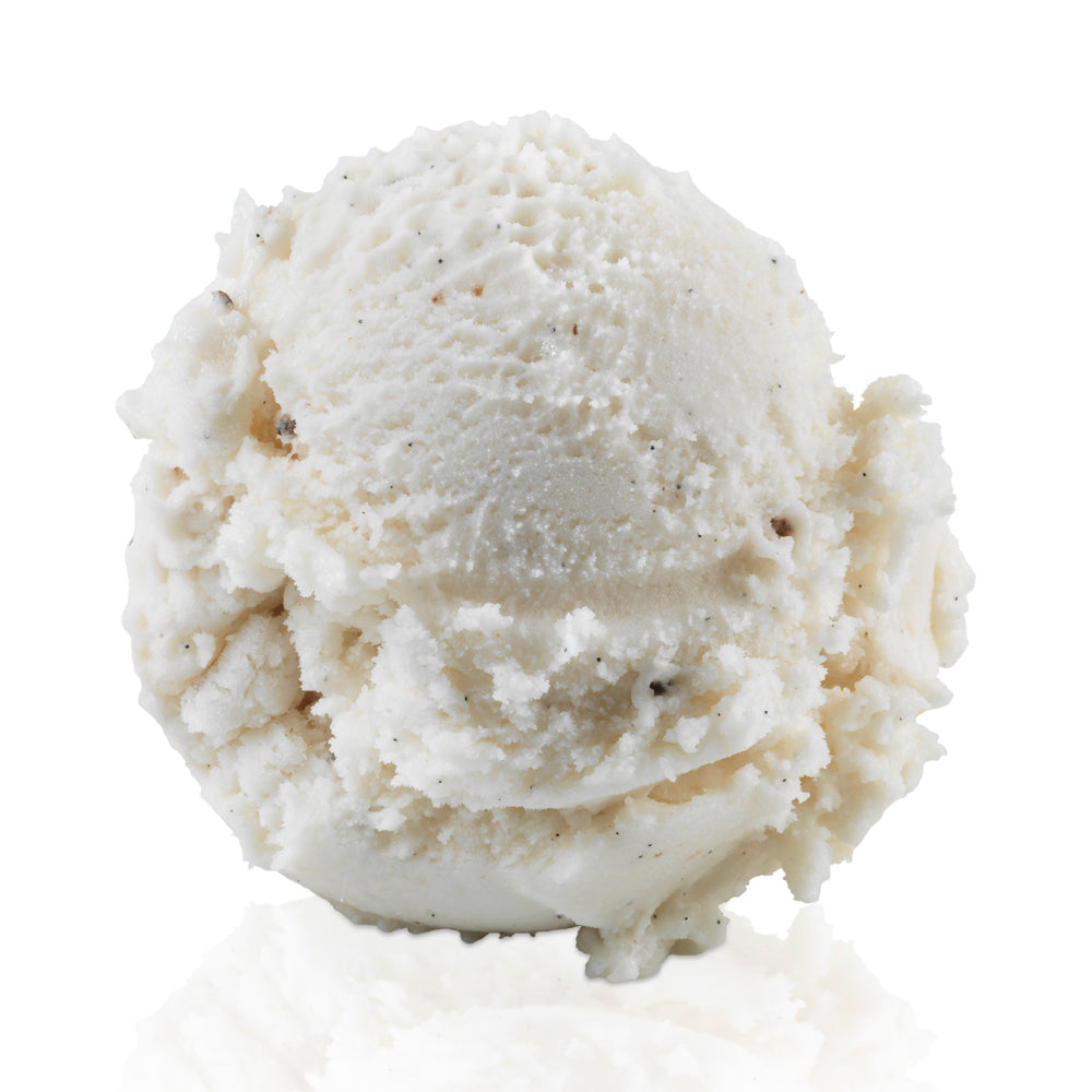Vegan Madagascar Vanilla Gelato