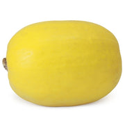 Spaghetti Squash