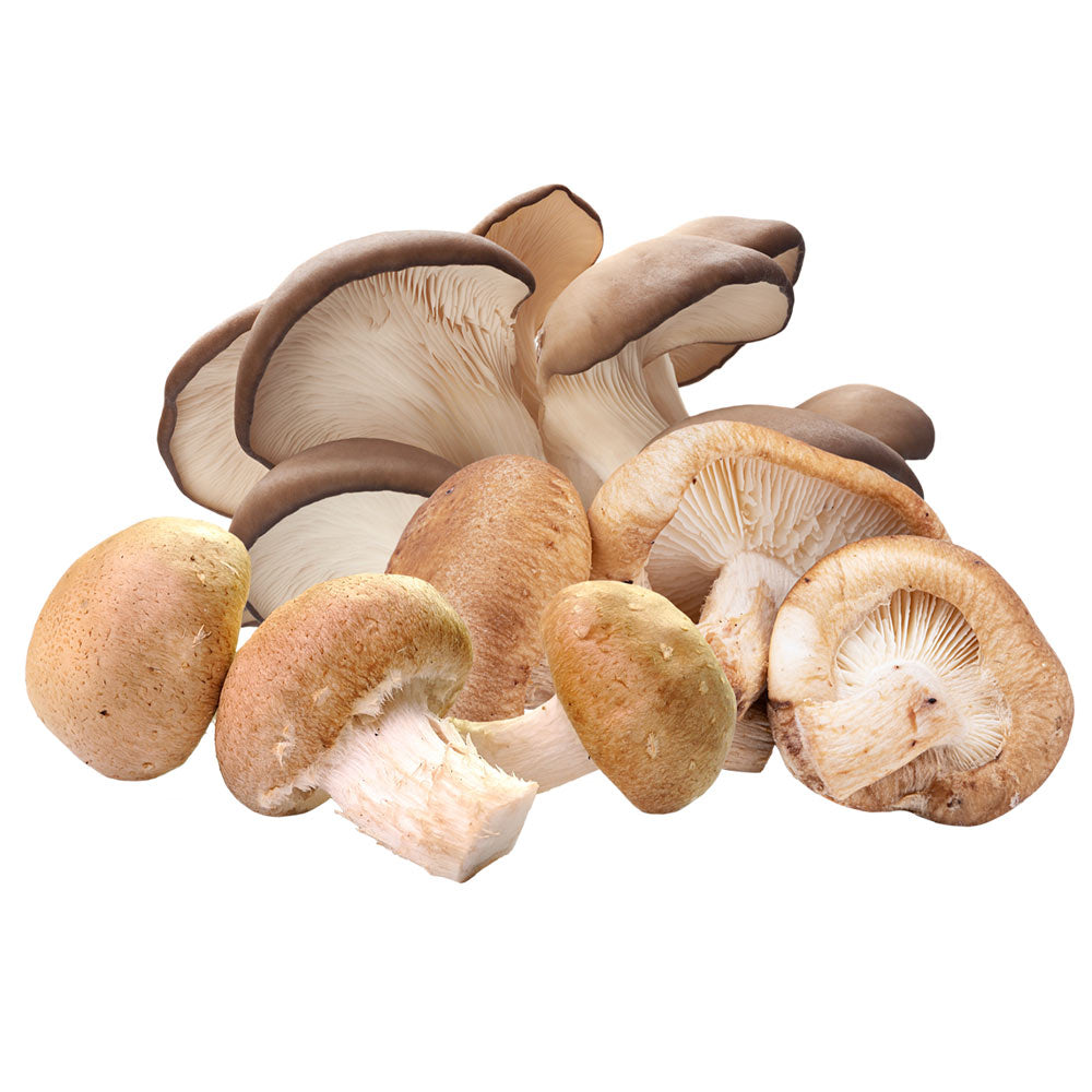 Variety Exotic Mushroom