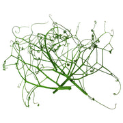 Micro Pea Tendrils