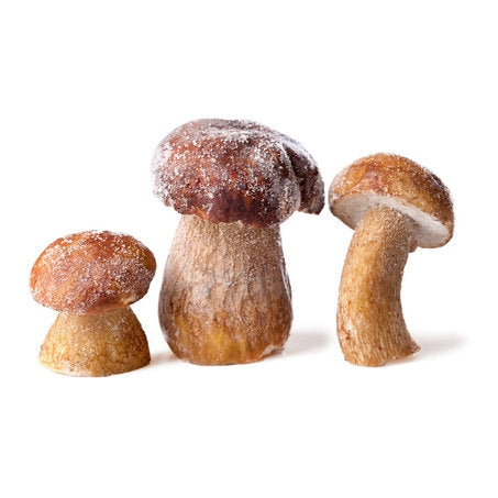 Whole Porcini Mushroom