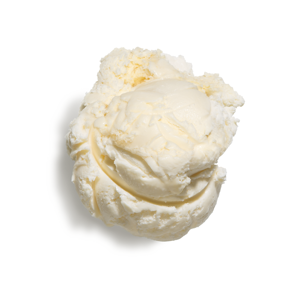 Quick Blend Vanilla Ice Cream