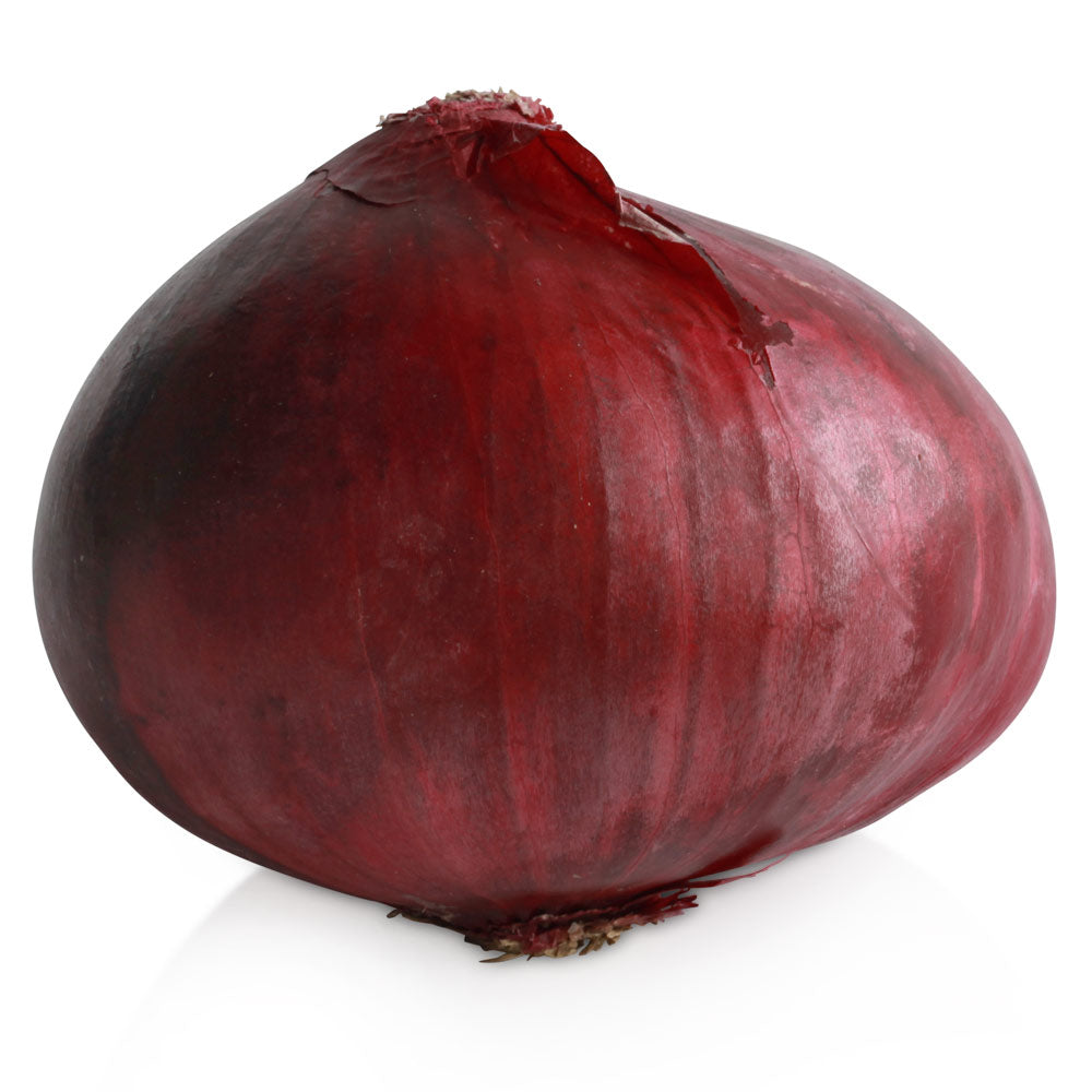 Red Onion 10/5