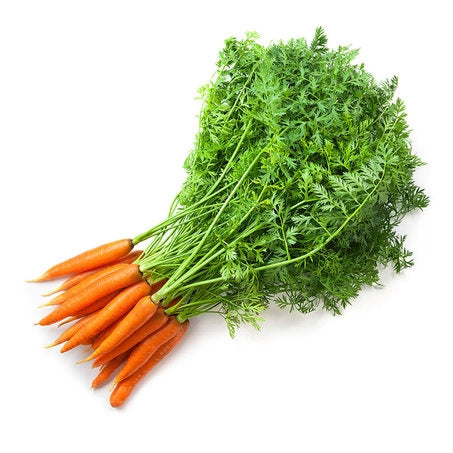Baby Bunch Rainbow Carrots
