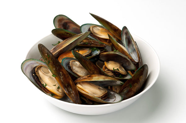 New Zealand Green Lip Mussel