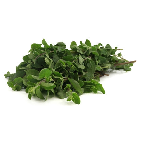 Marjoram