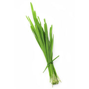 Wheat Grass