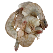 White Ecuadorian Shrimp Shell On U/10