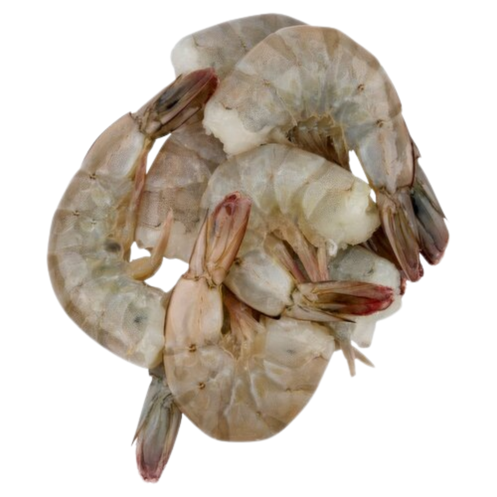 White Ecuadorian Shrimp Shell On U/10