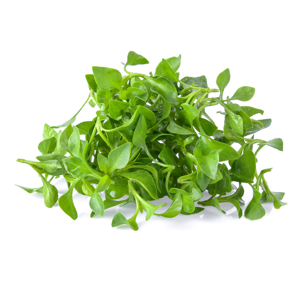 Washed Watercress