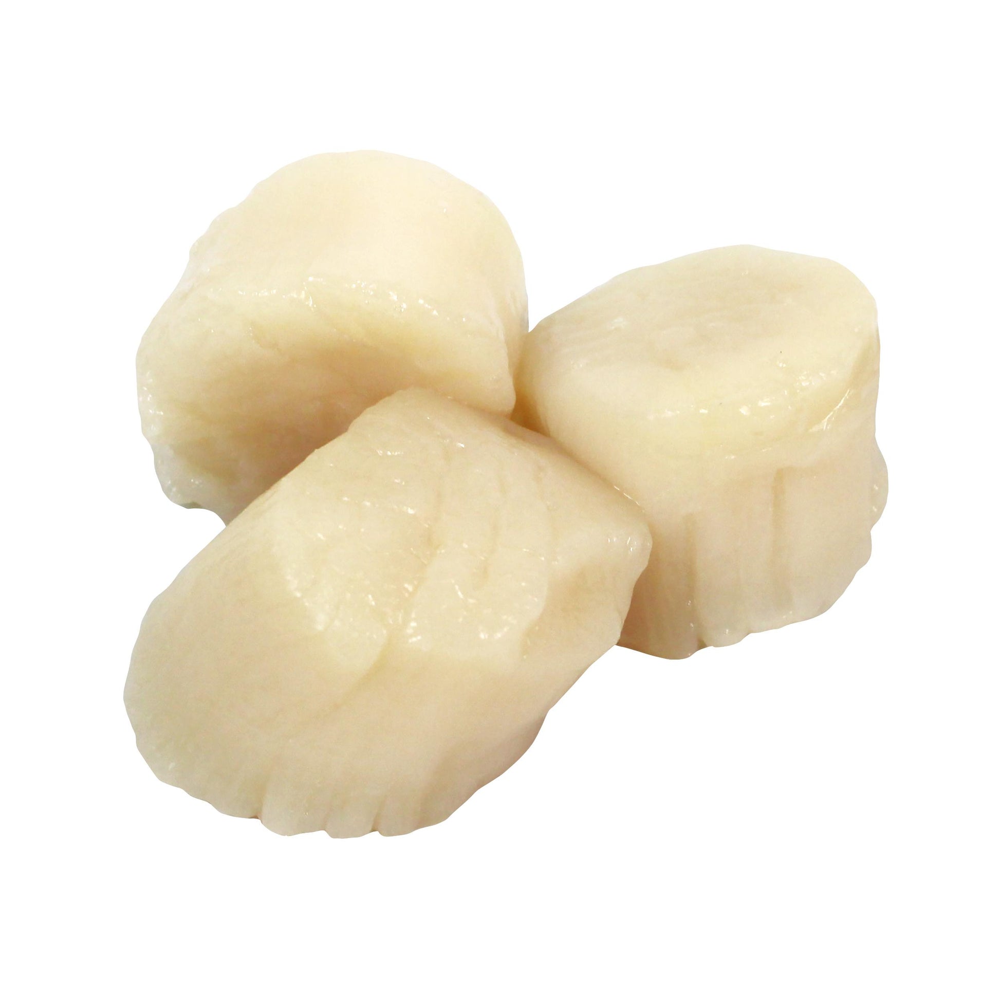 Dry Scallops U/10ct IQF