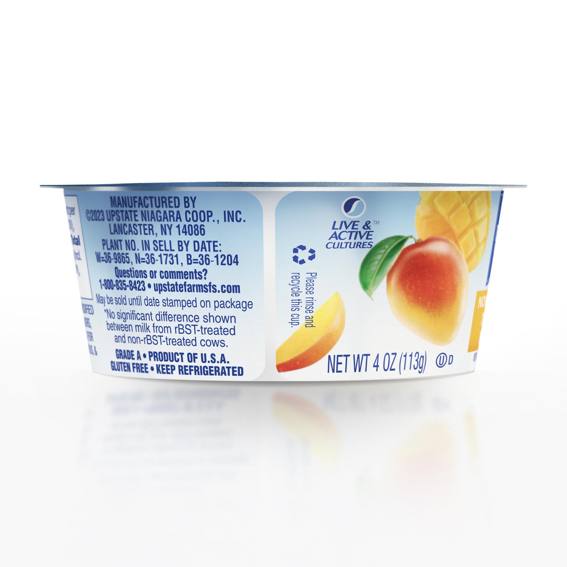 Nonfat Mango Yogurt