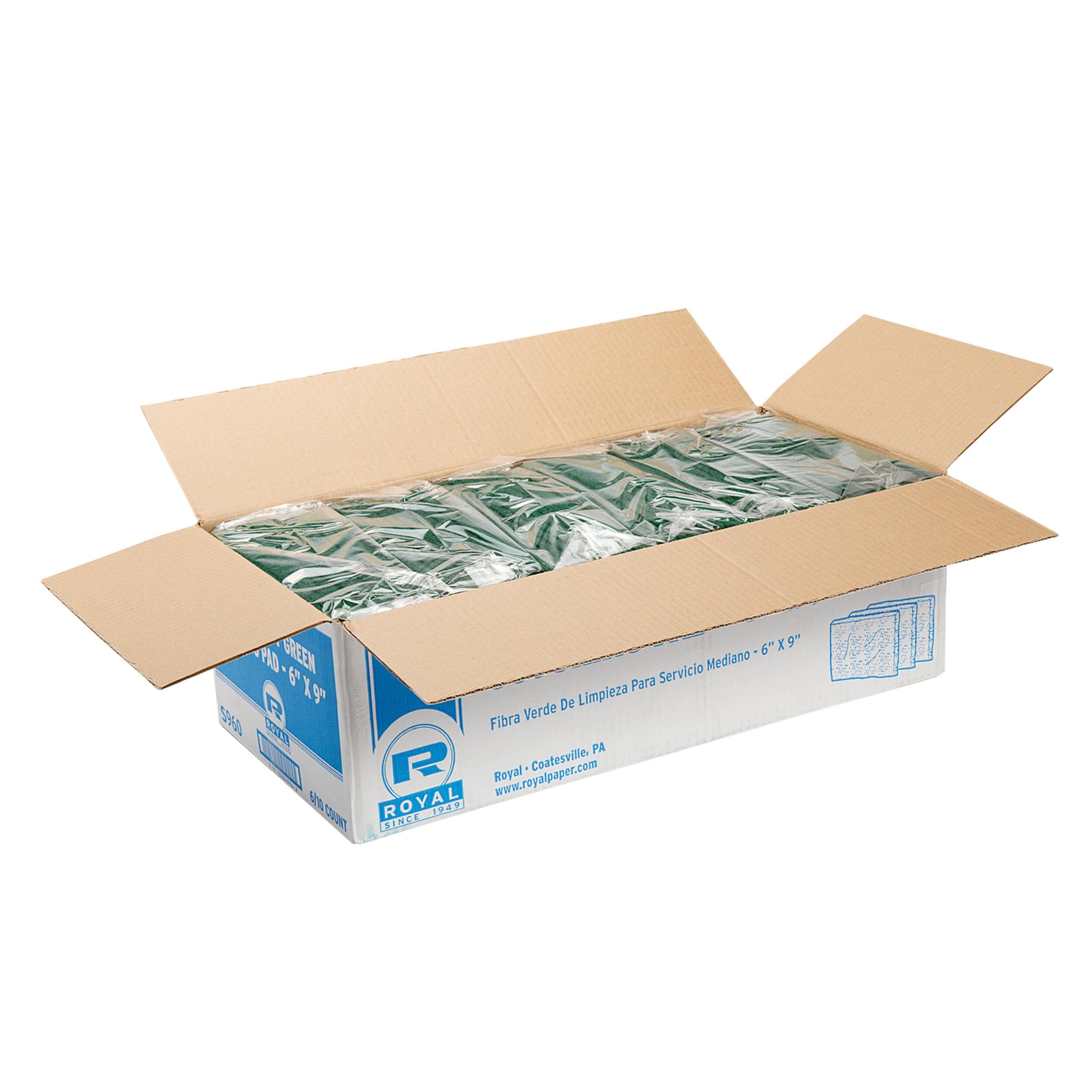 Green Scouring Pad 6x9