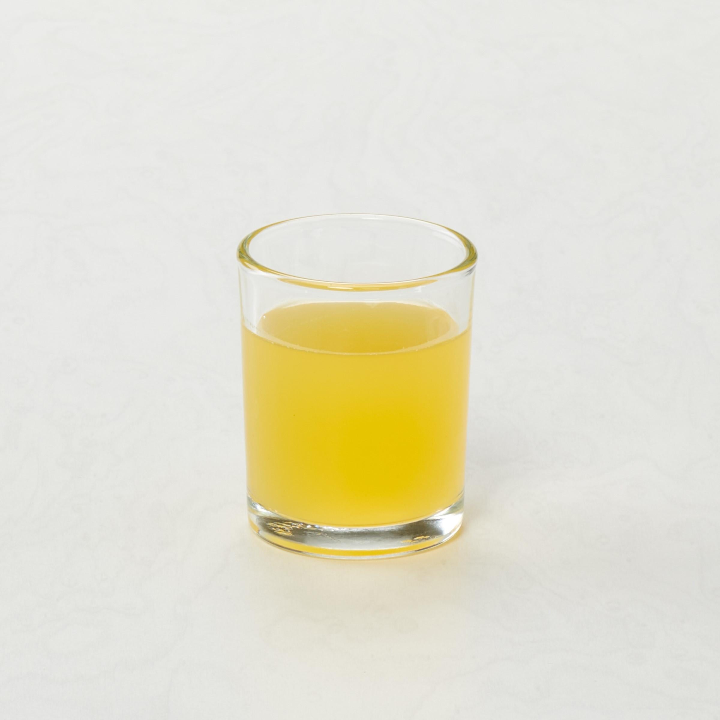 Lemonade Mix Frozen