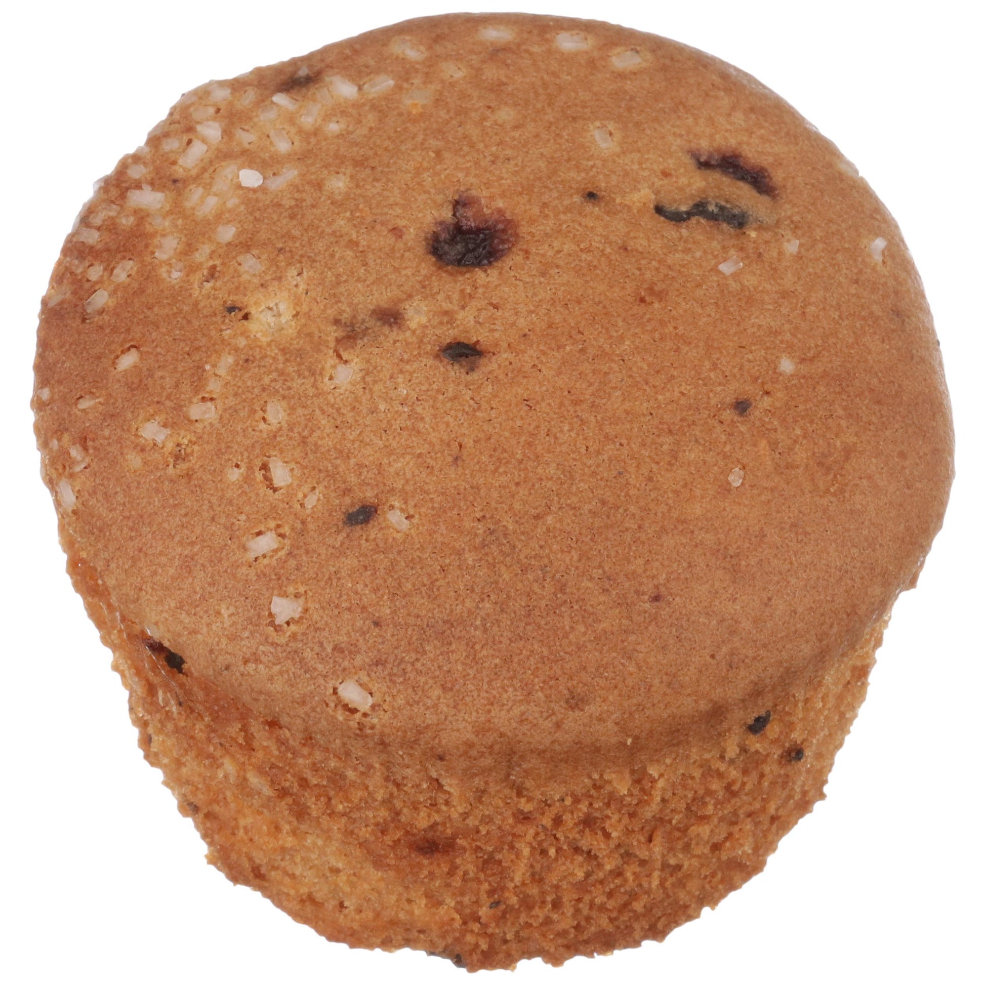 Individually Wrapper Gluten Free Blueberry Muffin