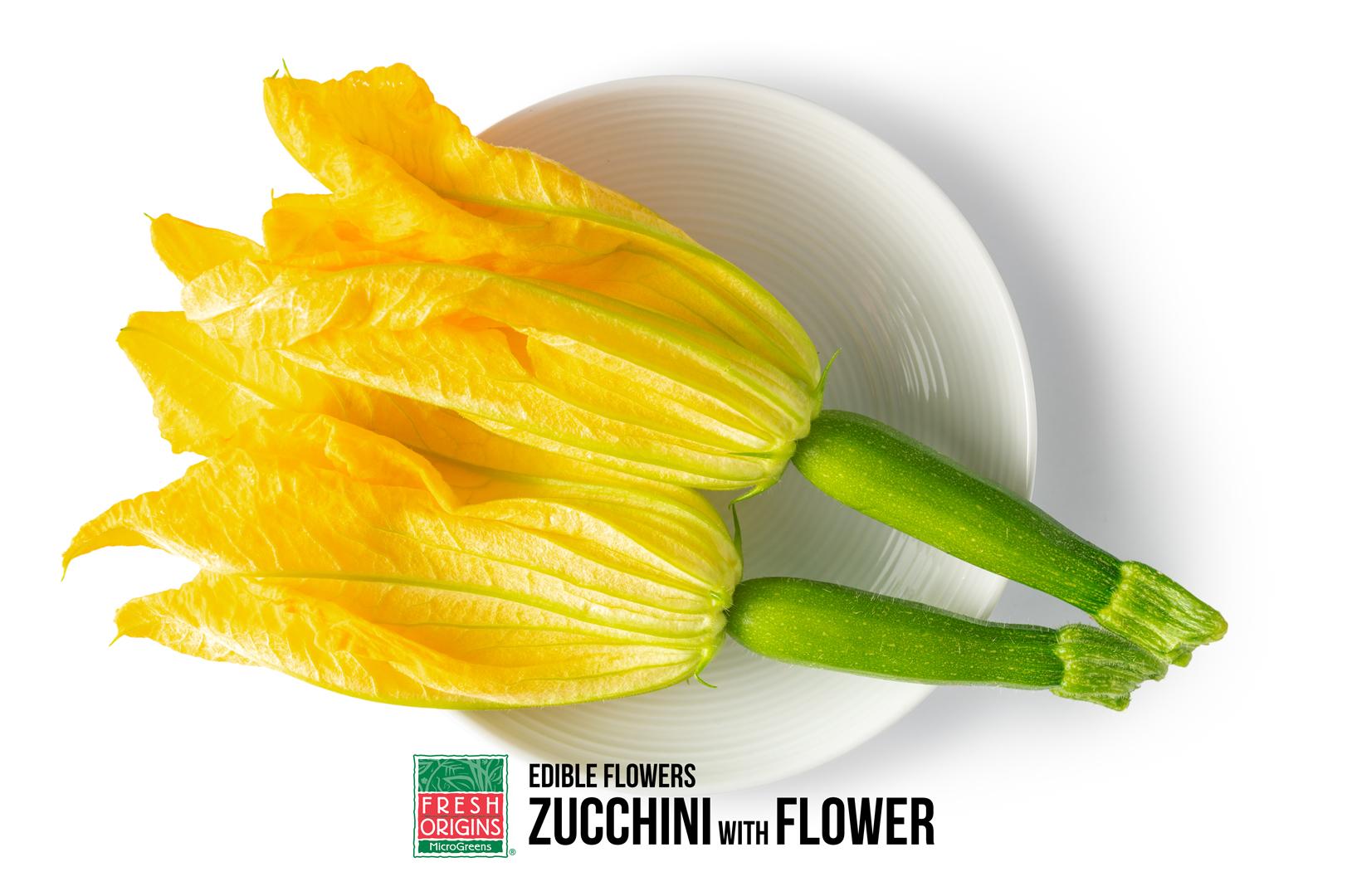 Holland Squash Blossom