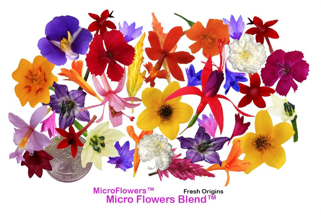 Micro Flower Blend