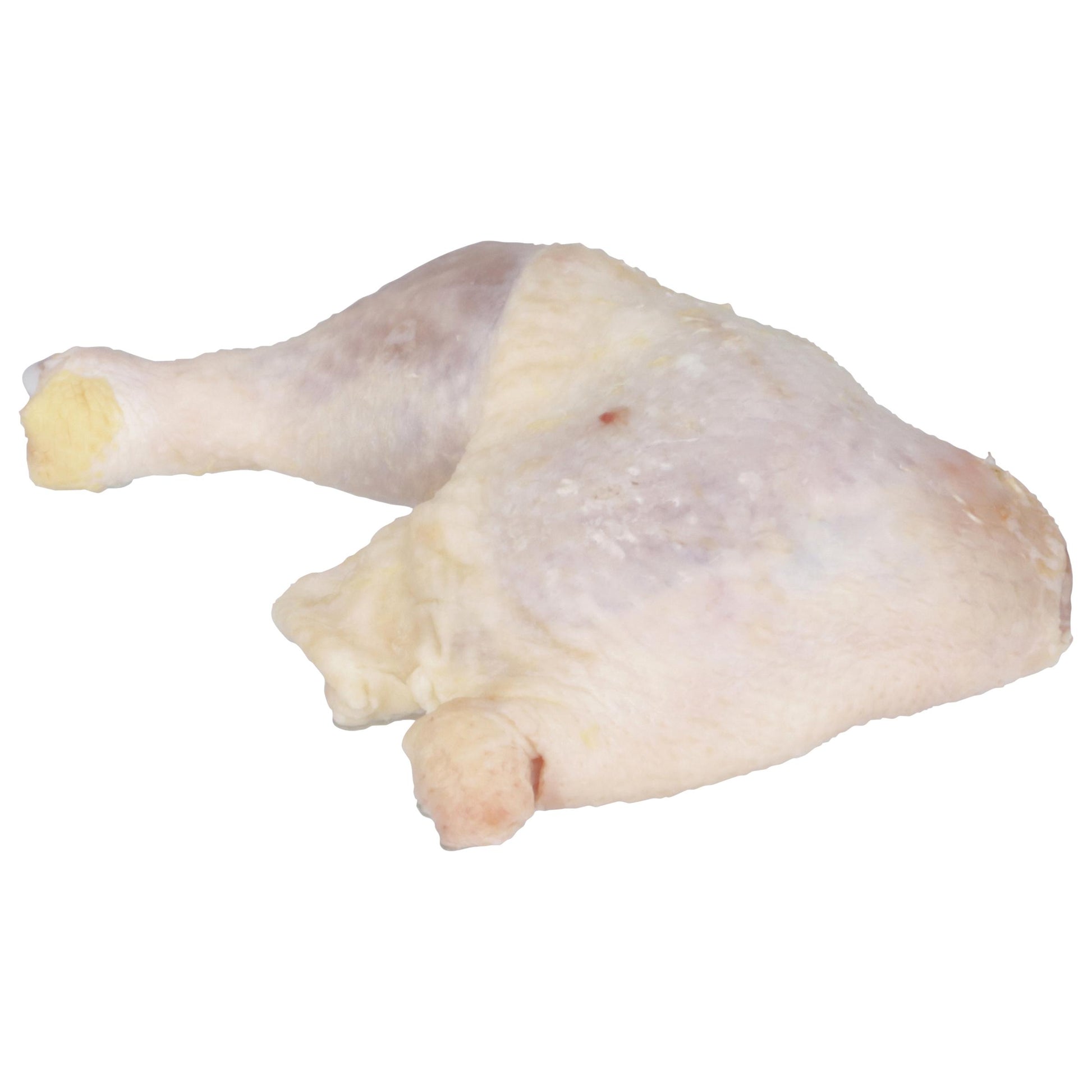 Whole Larger Raw Chicken Leg