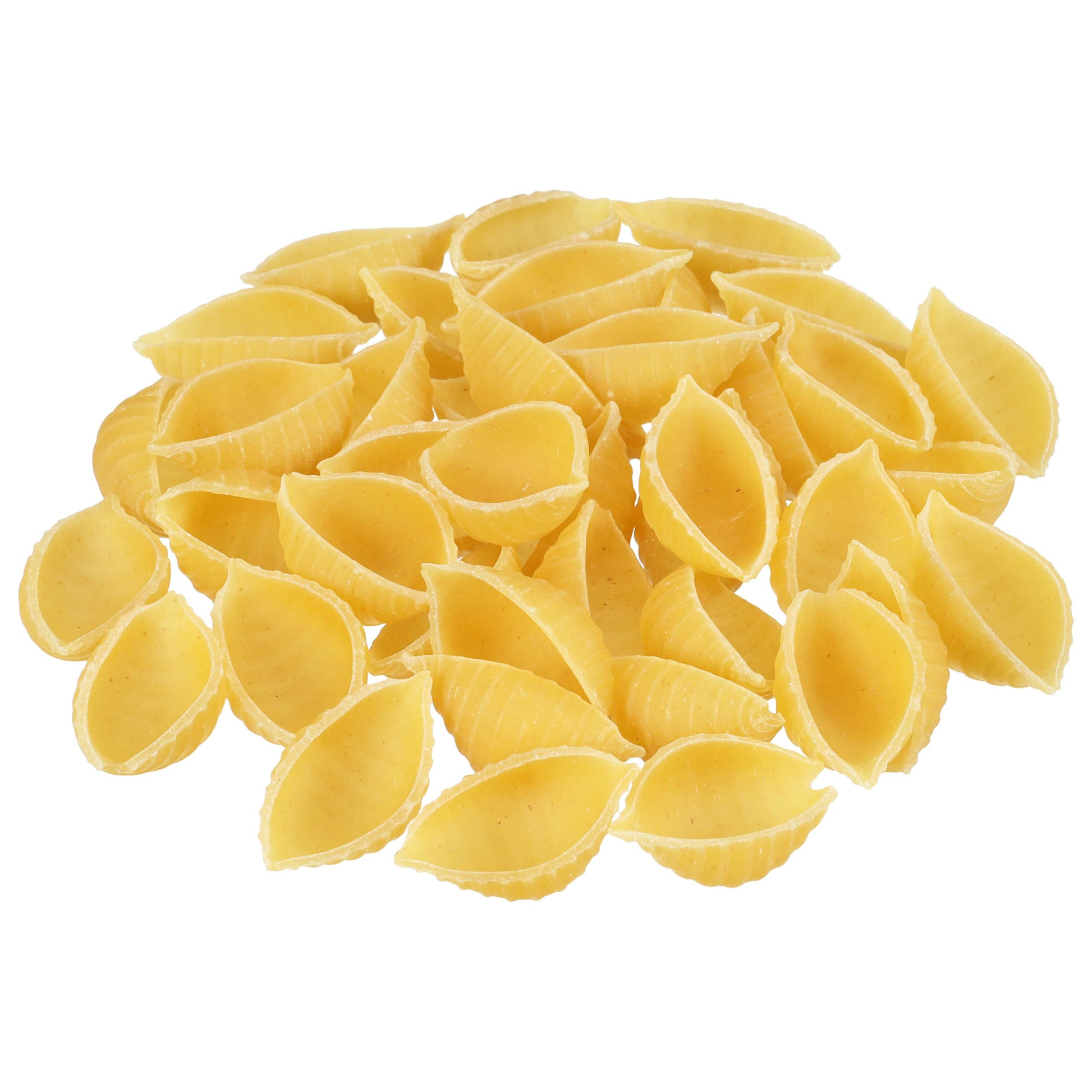 * Conchiglie Rigati Large Shell Pasta Bulk