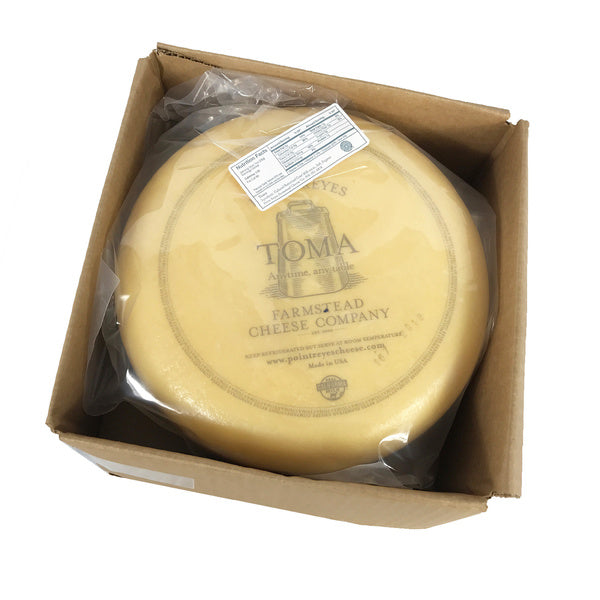Semi Hard Toma Cheese