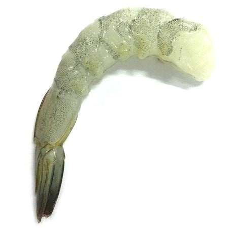 8-12 White Shrimp P&D T-On