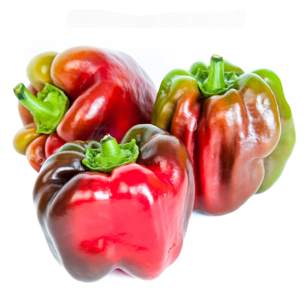 Suntan Peppers